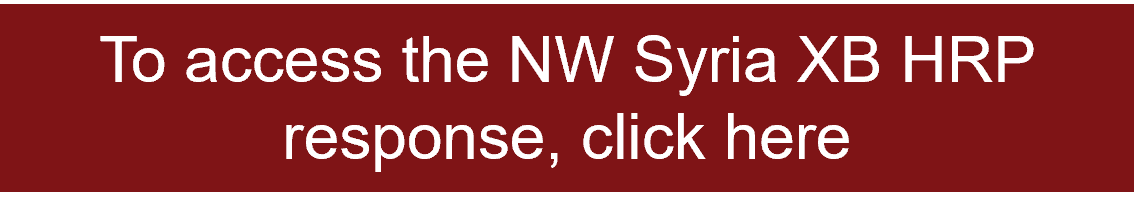 To access the NW Syria XB HRP response, click here 
