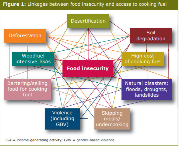 Access to fuel is a multi-sectoral issue.